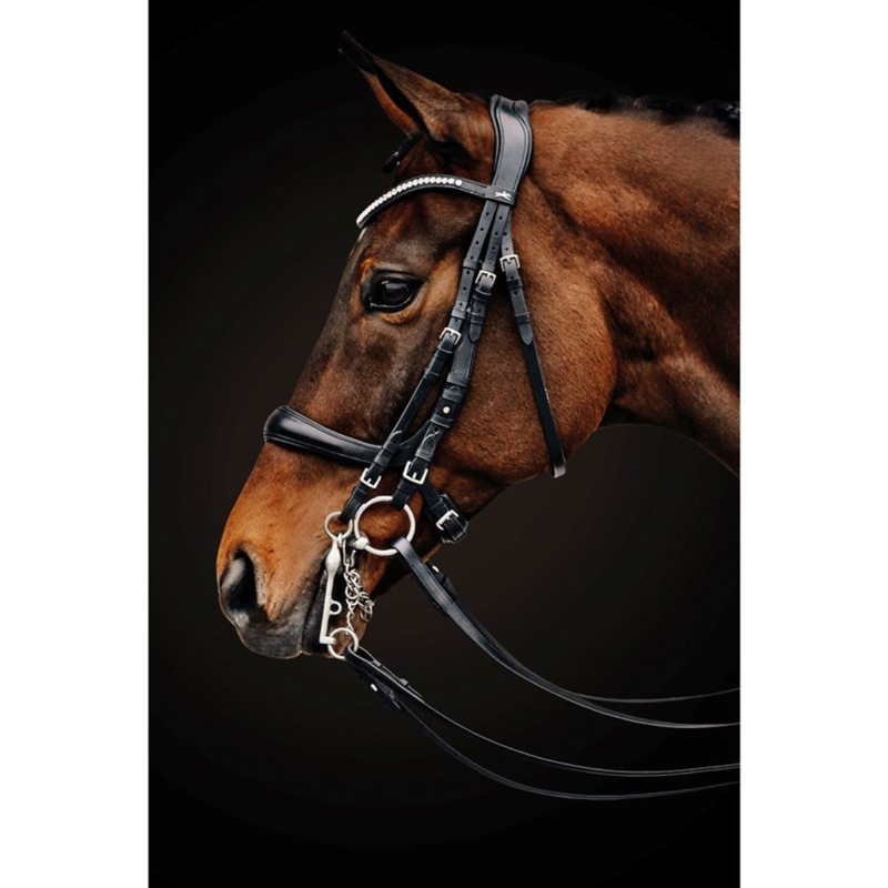 Schockemohle Equitus Gamma Double Bridle - Black/Silver-2